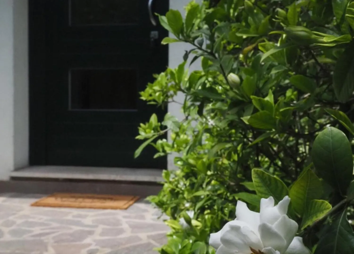 Apartament Le Gardenie Di Tito Mogliano Veneto Włochy