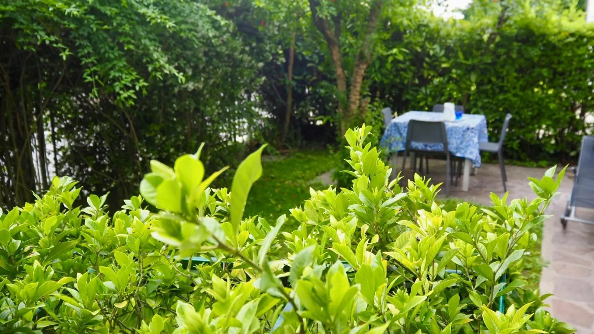 شقة Le Gardenie Di Tito موليانو فينيتو 0*,